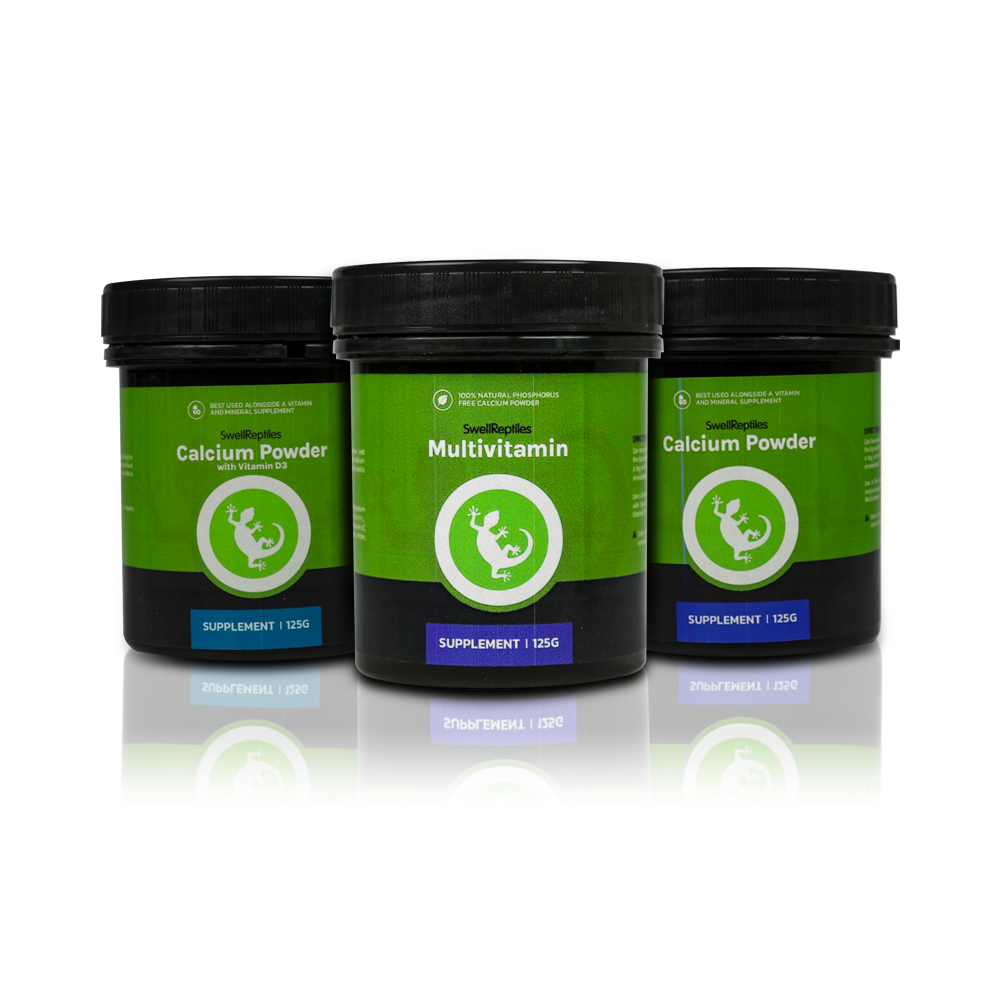 Swell Livefood Supplement Kit