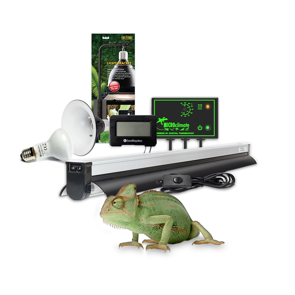 Swell Chameleon Essential Kit