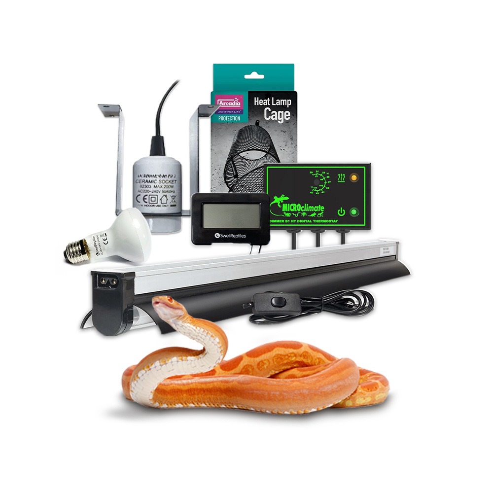 Swell Corn Snake & Royal Python Essential Kit