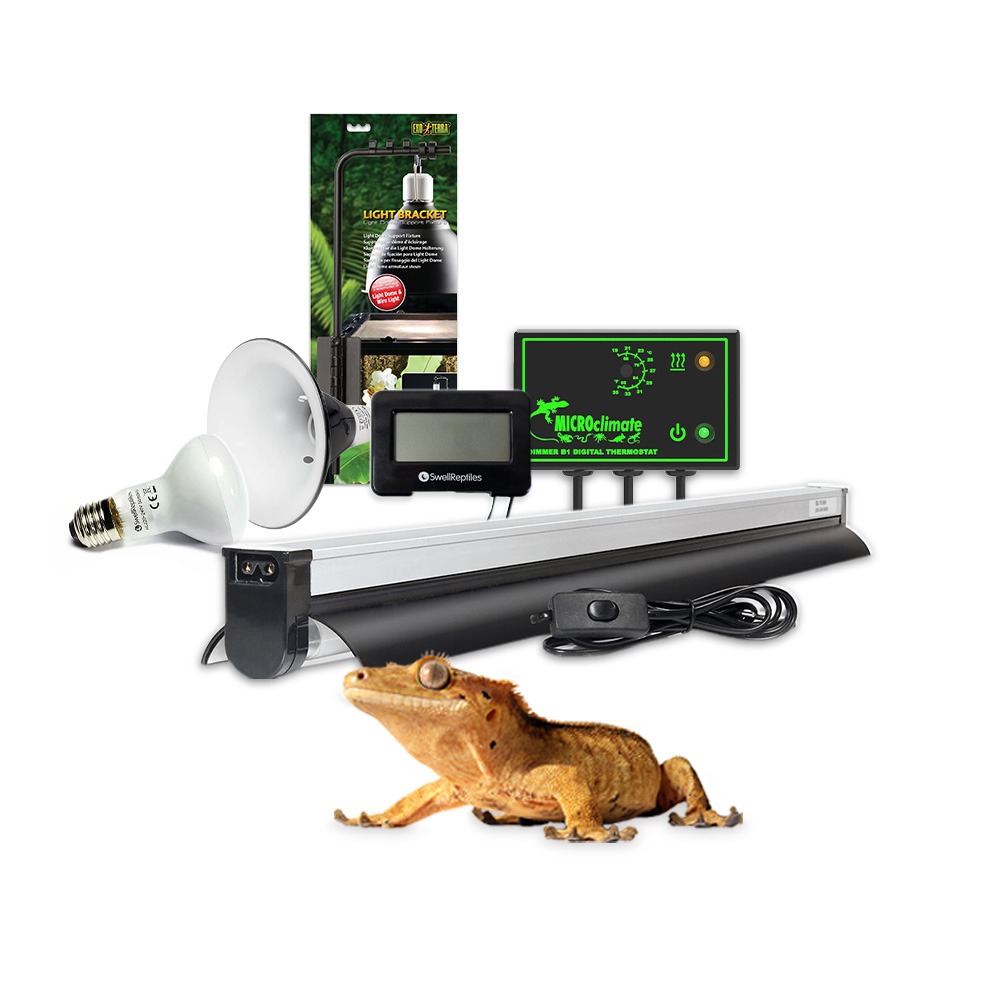 Swell Crested & Leopard Gecko Essential Kit