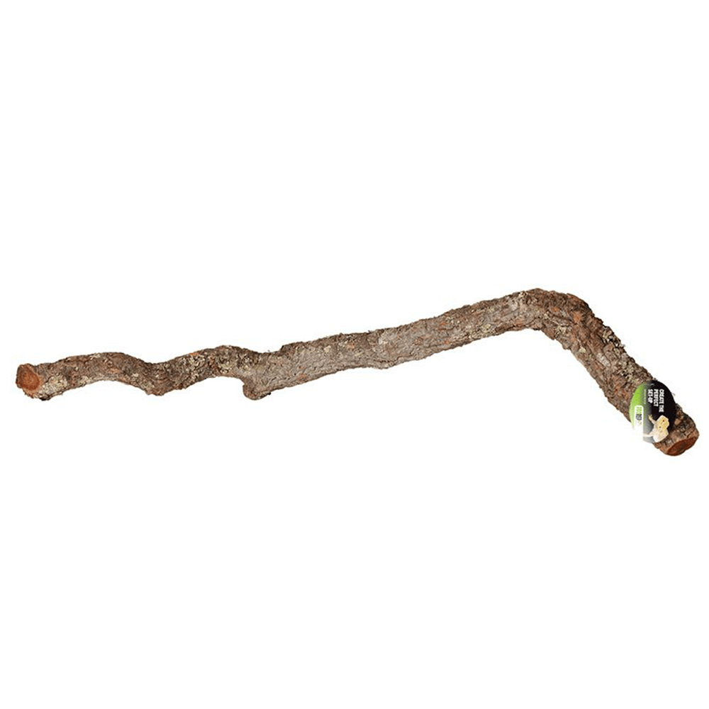 ProRep Cork Oak Branch