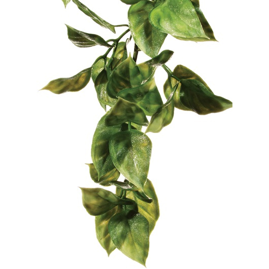 Exo Terra Amapallo (Plastic)