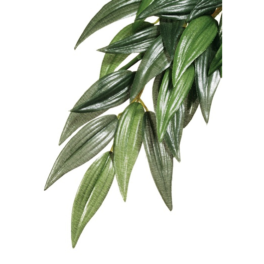 Exo Terra Ruscus (Silk)