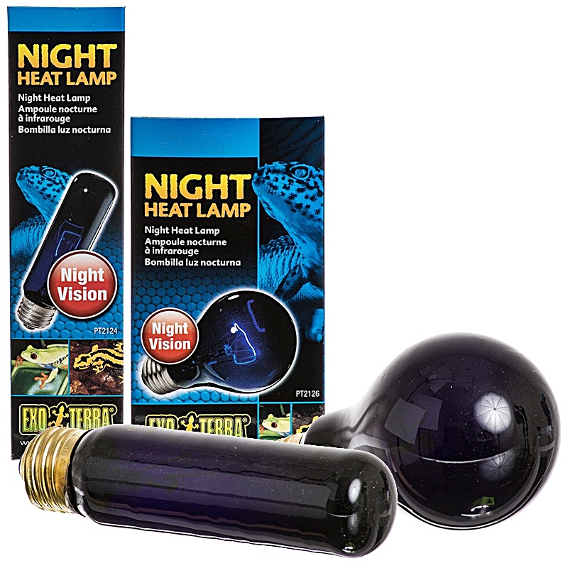 Exo Terra NightGlo Moonlight Lamp