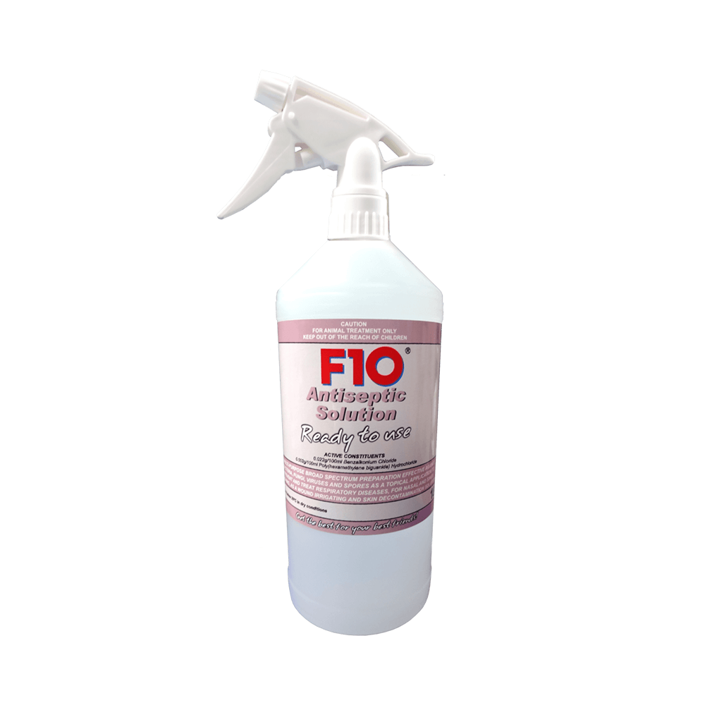 F10 Antiseptic Solution Ready to Use
