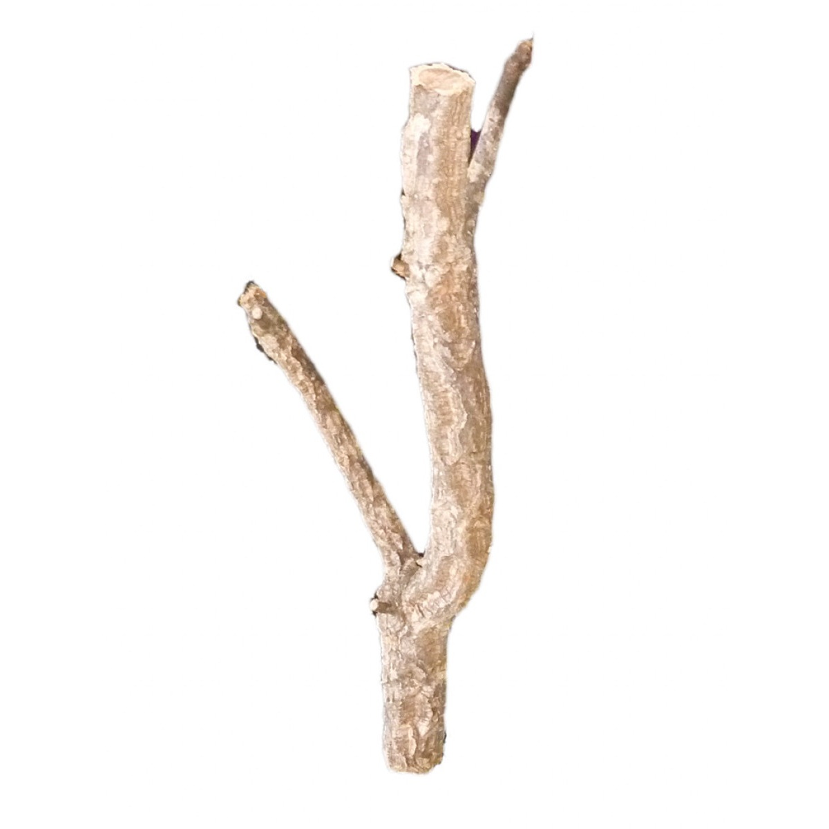 HabiStat Cork Branch