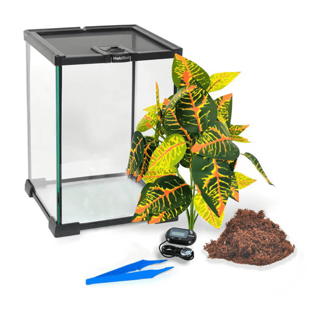 HabiStat Invertebrate Starter Kit