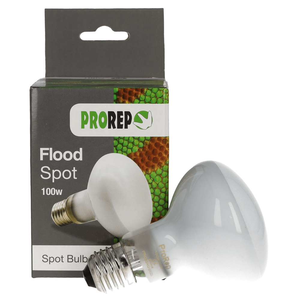 ProRep Flood Spot Lamp