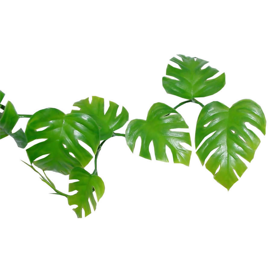 Lucky Reptile Pothos Vine