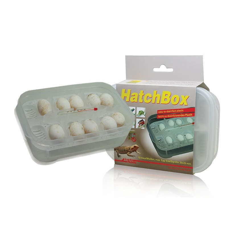 Lucky Reptile Hatchbox Incubation Tray