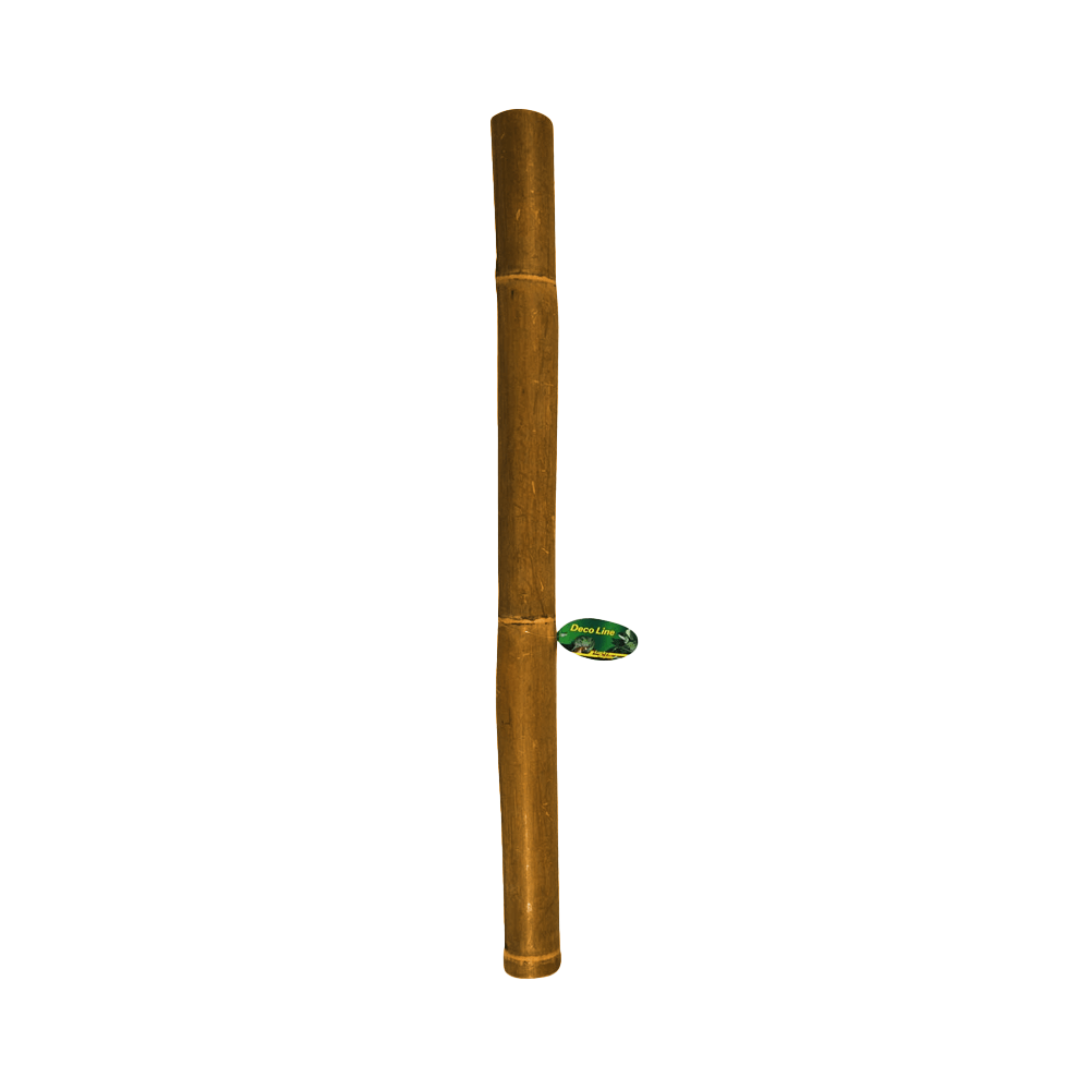 Lucky Reptile Bamboo Stick