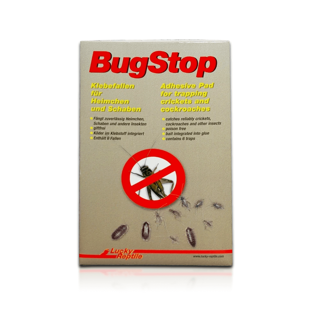 Lucky Reptile BugStop Cricket Trap (6-pack)