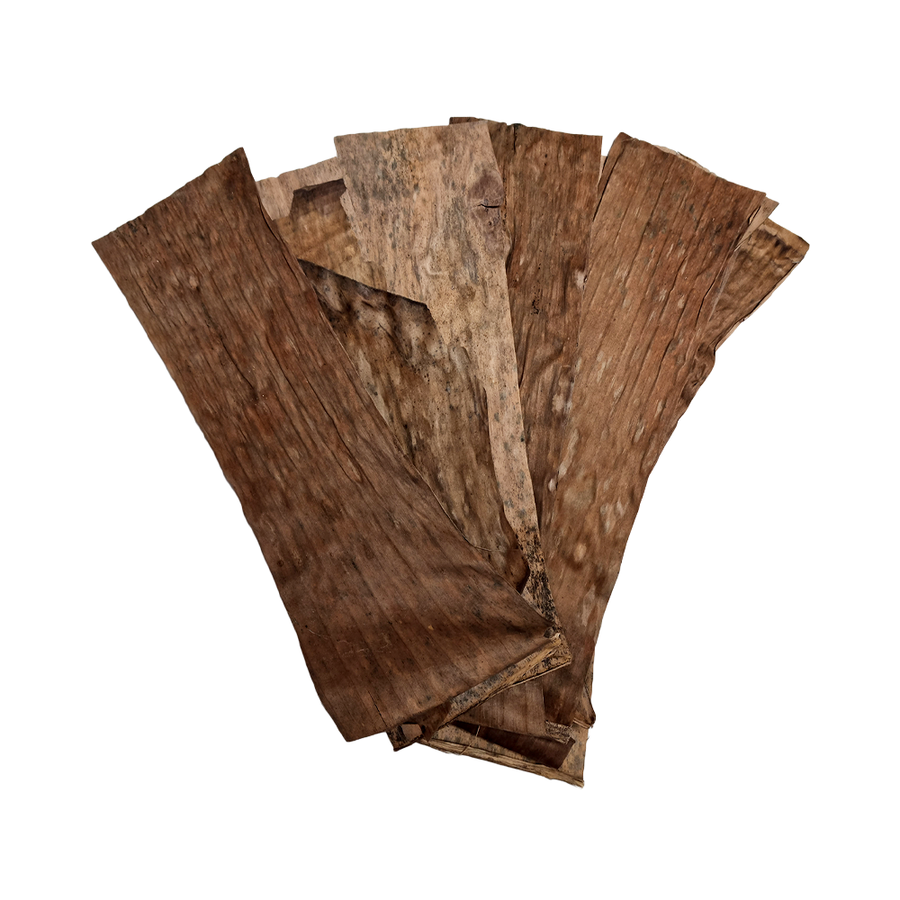 Swell Banana Leaves 