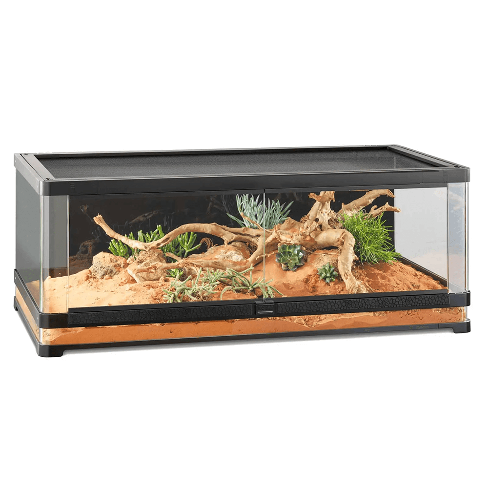 Exo Terra Vista 120 Panoramic Terrarium - 120 x 60 x 45cm