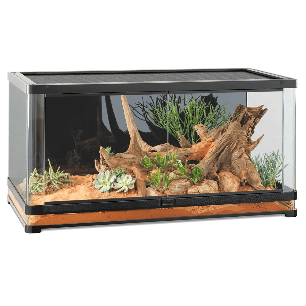 Exo Terra Vista 120XL Panoramic Terrarium - 120 x 60 x 60cm