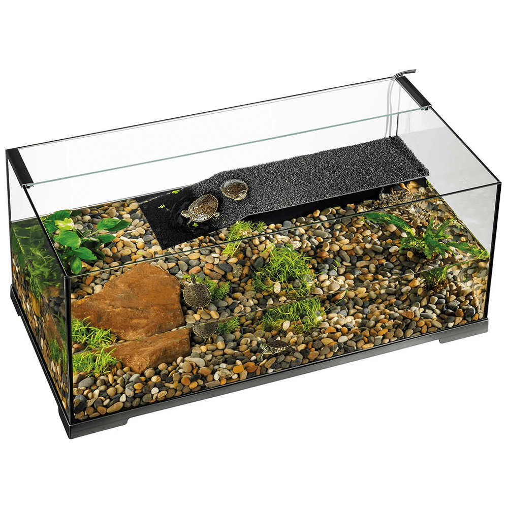 Exo Terra Turtle Haven Aquatic Terrarium - 90 x 45 x 37cm