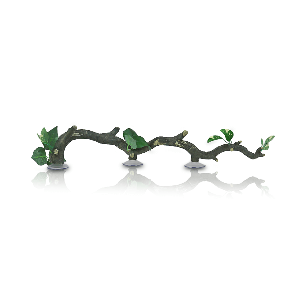 Swell Arboreal Branches