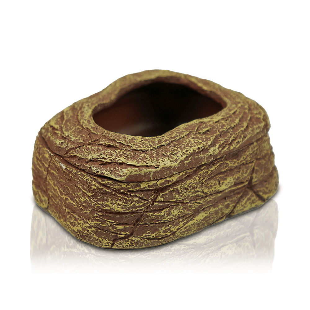 Swell Mealworm bowl