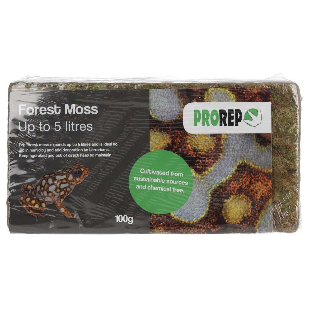 ProRep Forest Moss Brick