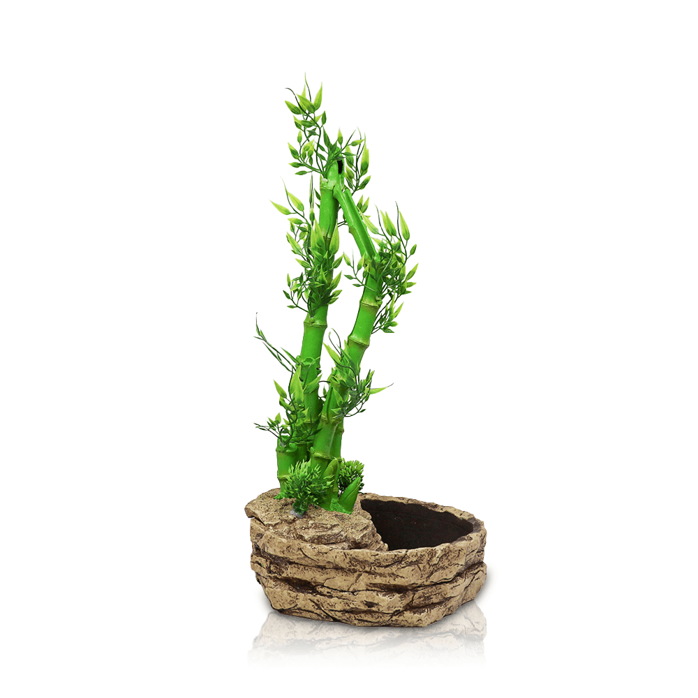 Swell Bamboo Plant Dripper