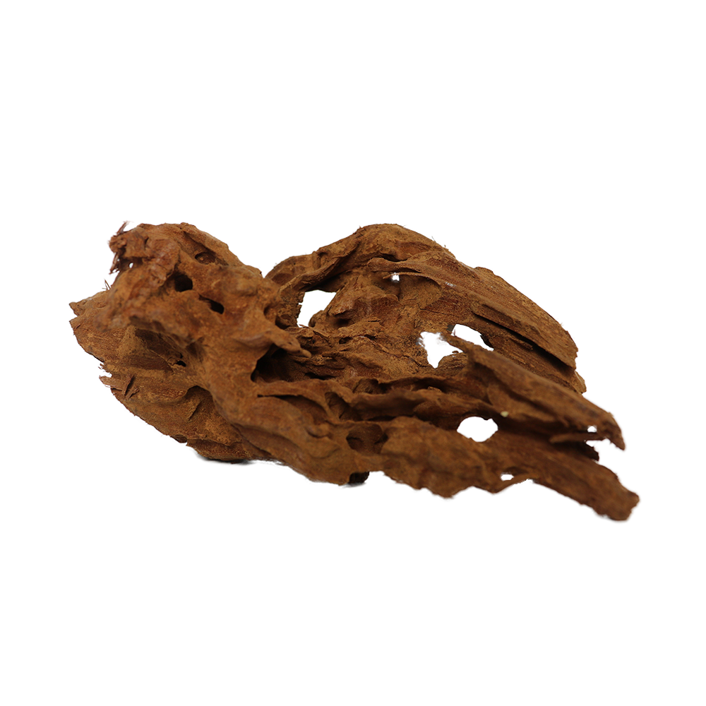 Swell Bog Wood
