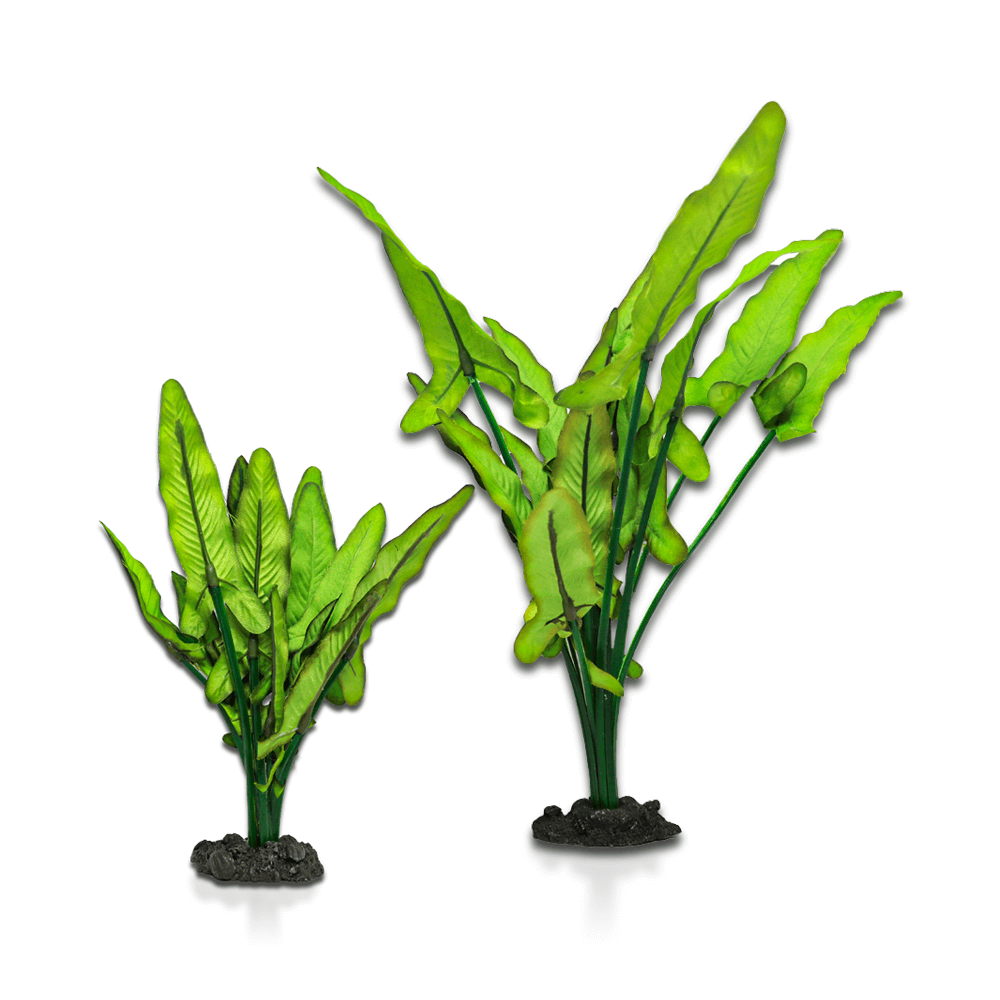 Aqua One Sword Plant Green and White Silk