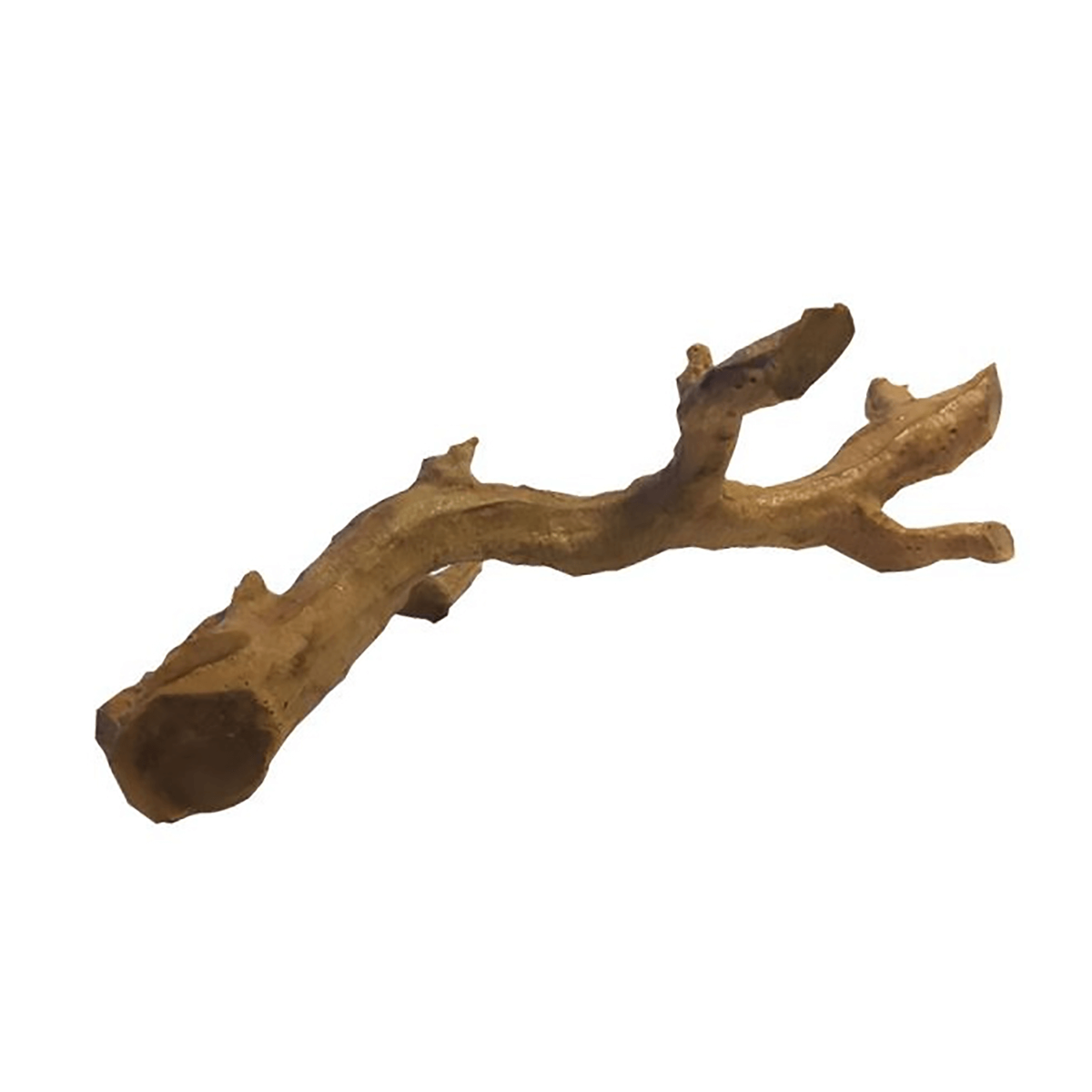Swell Bendable Reptile Tree