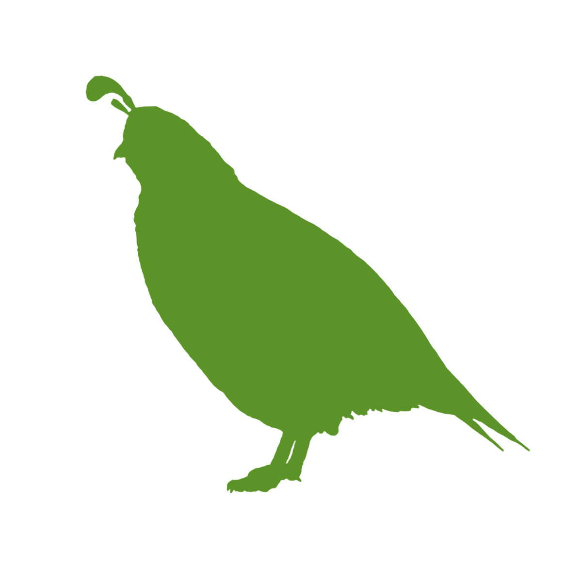 Swell Frozen Quail