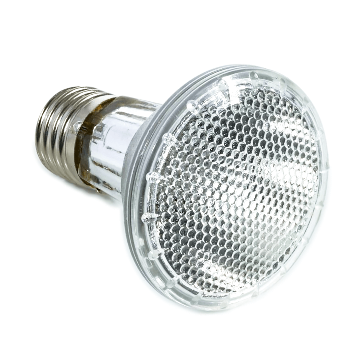 Swell Halogen Spot Lamps