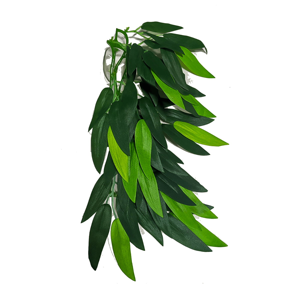 Swell Ruscus Artificial Plant