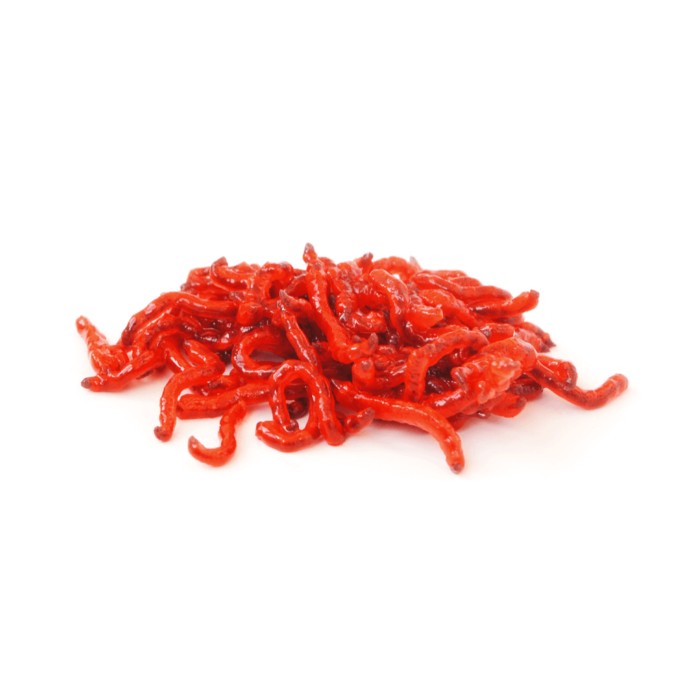 Swell Live Bloodworms