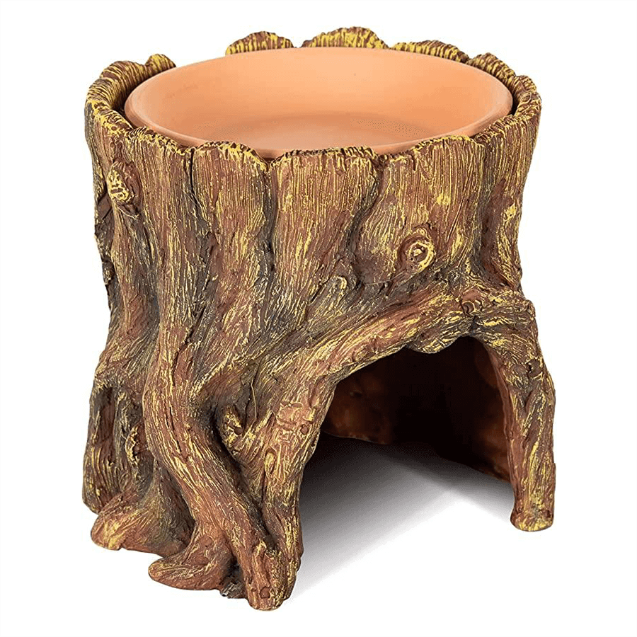 Swell Tree Root Hideaway