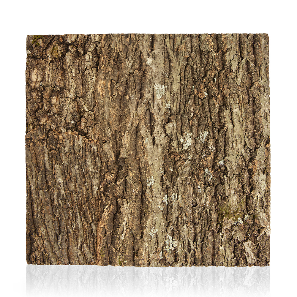 Swell Reptiles Natural Cork Tile Background