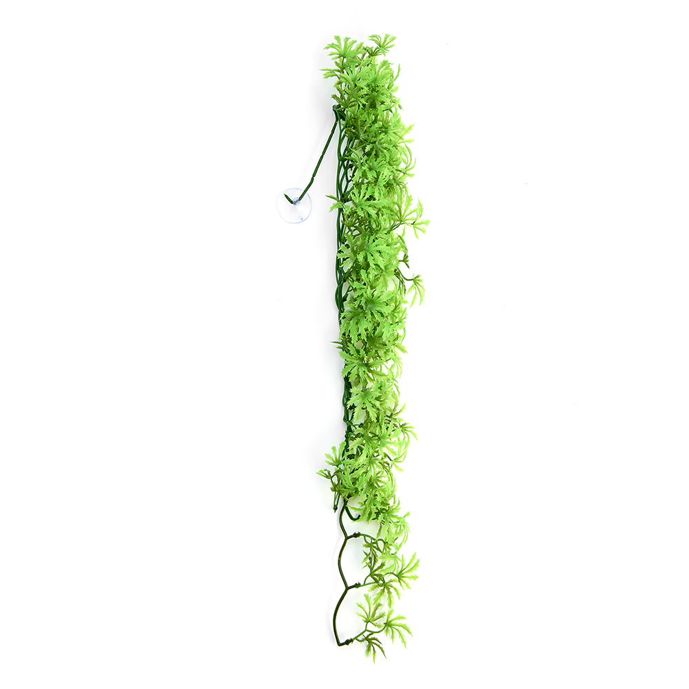Swell Premium Croton