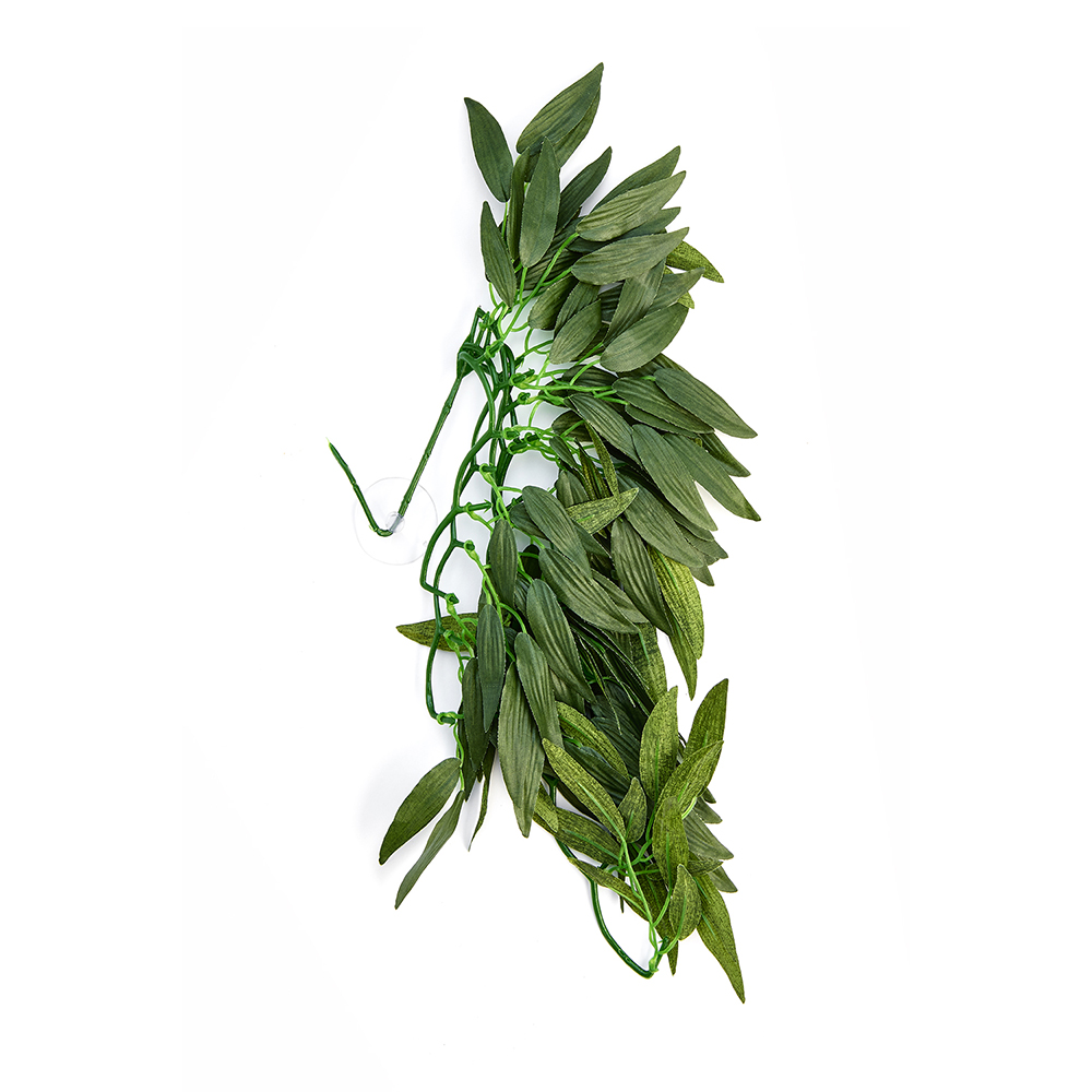 Swell Premium Ruscus