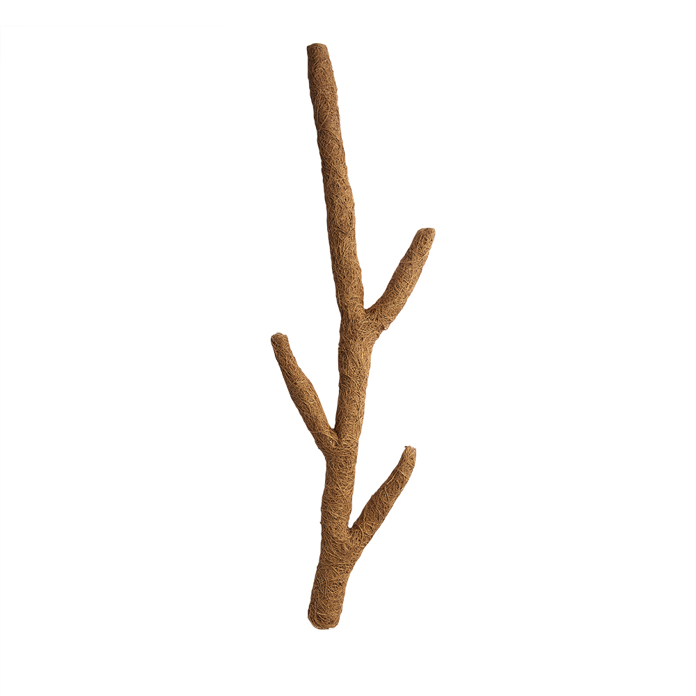 Swell Natural Coco Troncho Branch