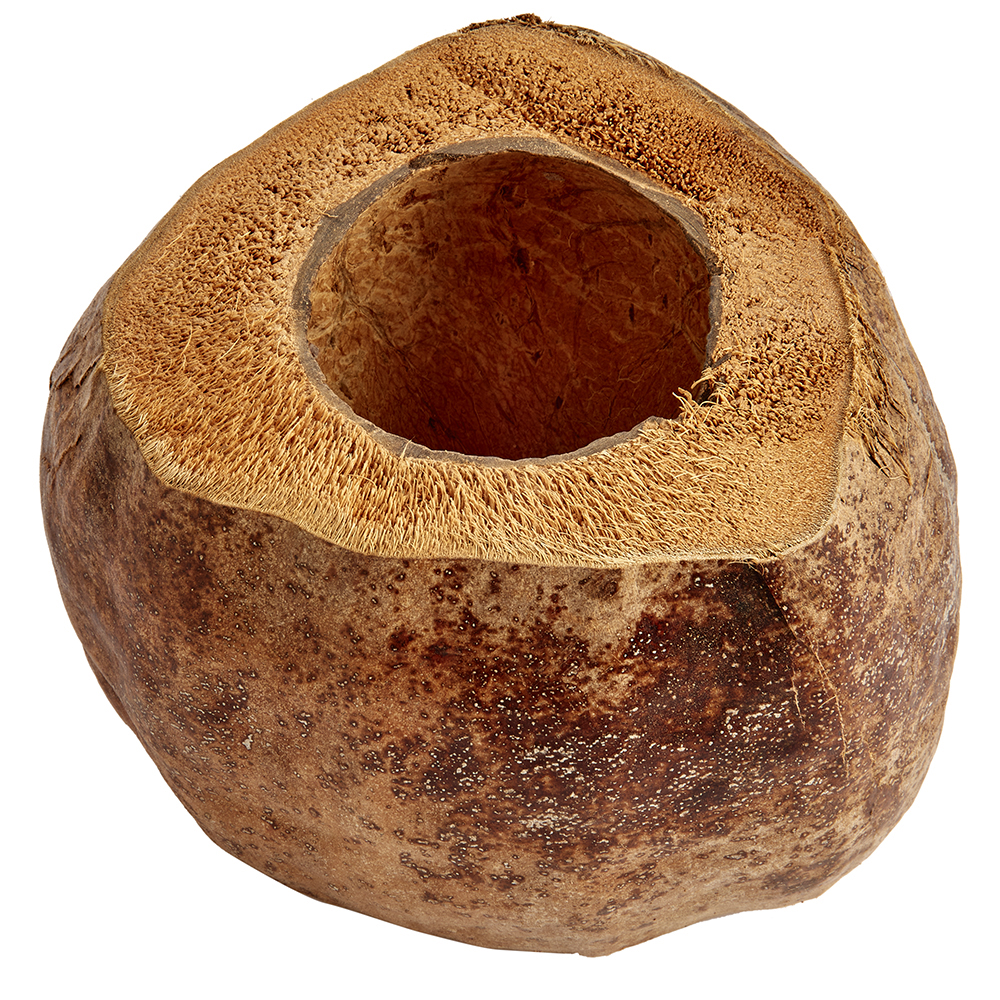 Swell Natural Coco Planter