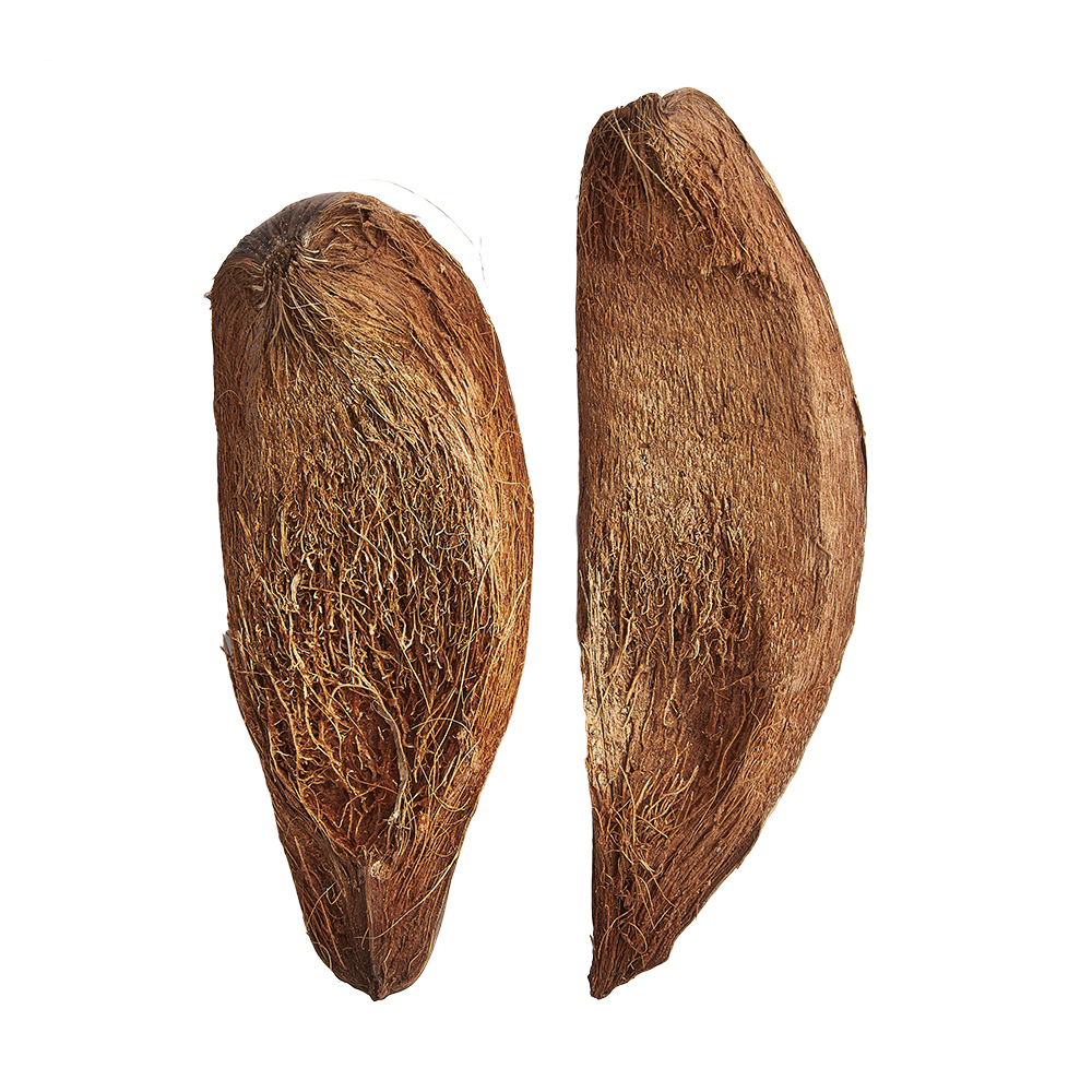 Swell Coconut Husk Slice