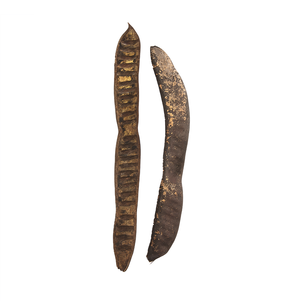 Swell May Tree Pods