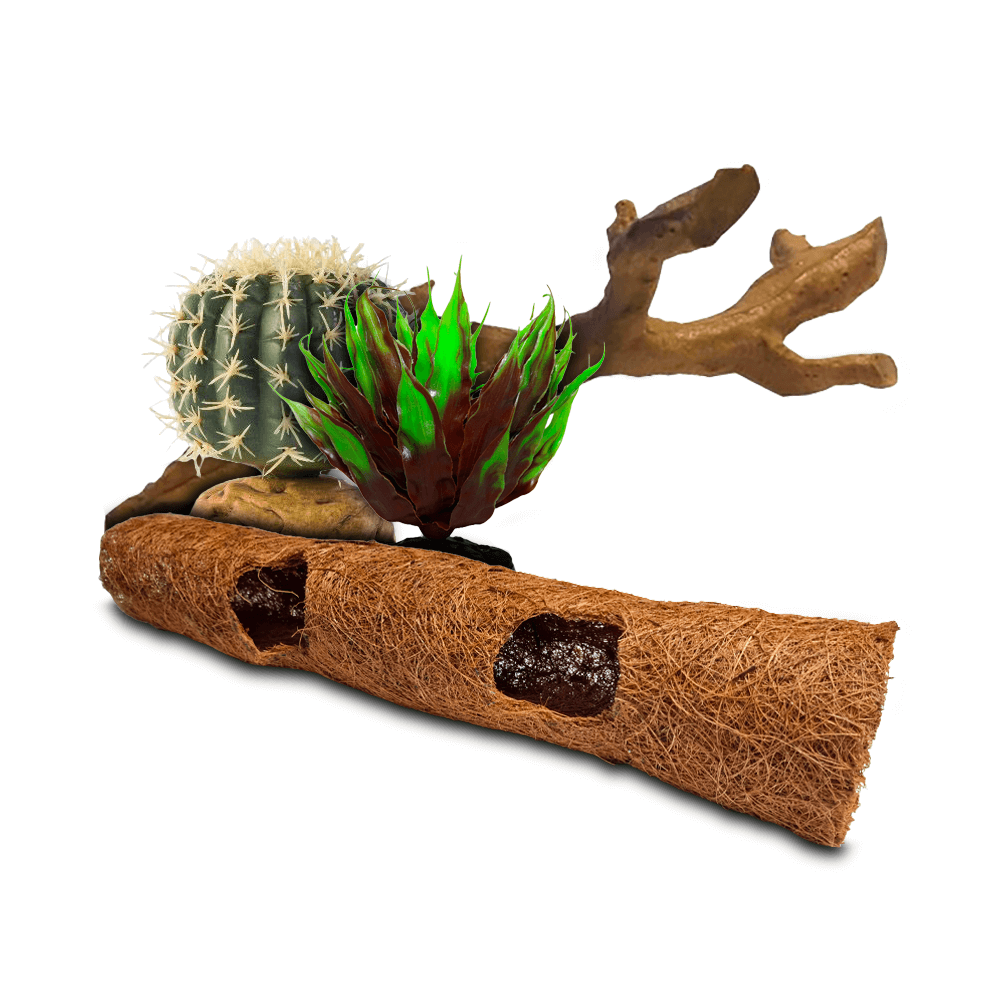 Swell Desert Reptile Bundles
