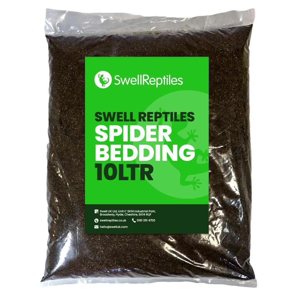 Swell Spider Bedding