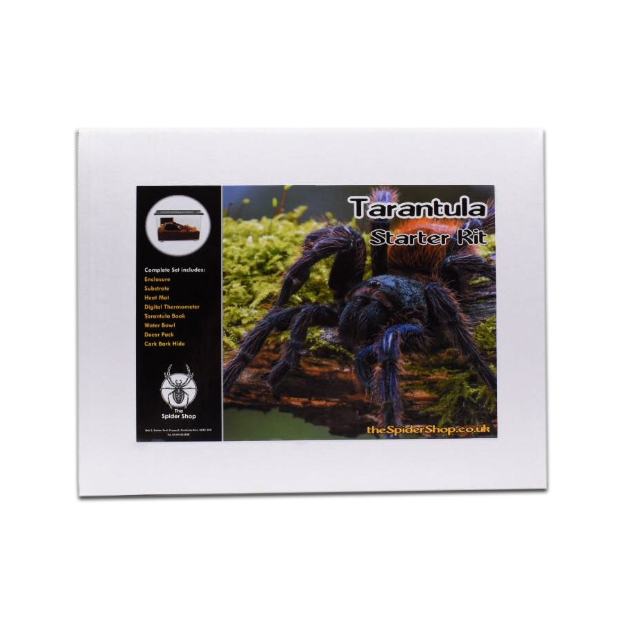 The Spider Shop Tarantula Starter Kit
