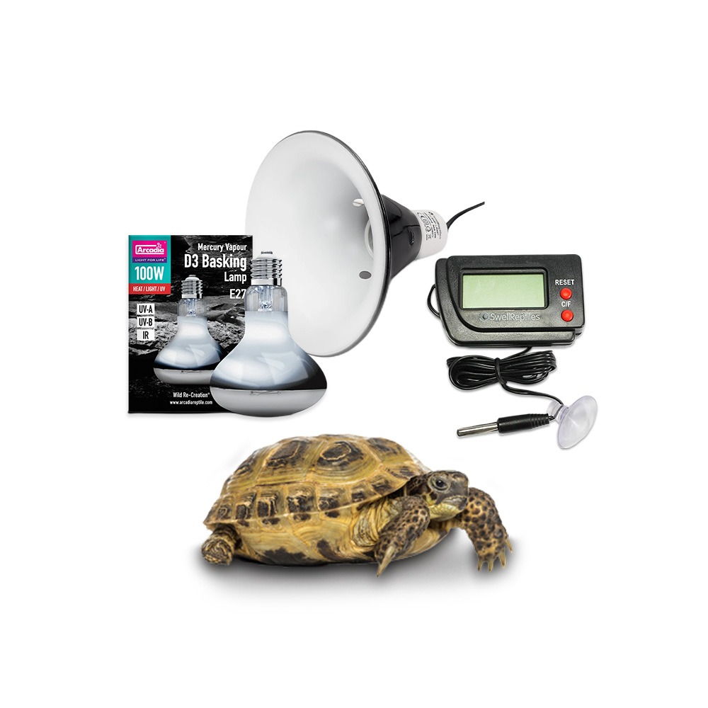 Swell Tortoise Essential Kit