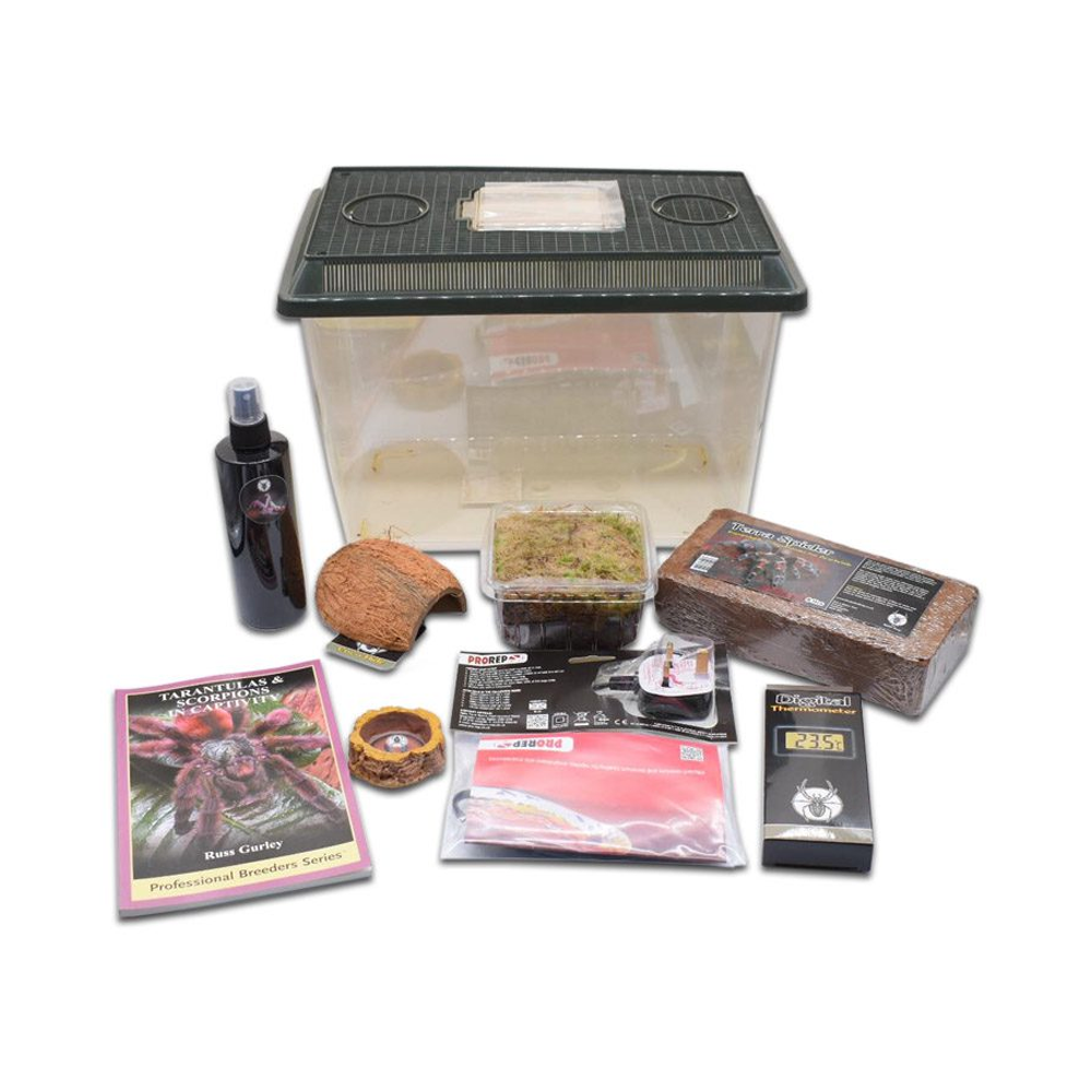 The Spider Shop Forest Scorpion Starter Kit