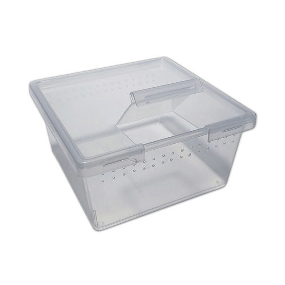 The Spider Shop Spiderling Box