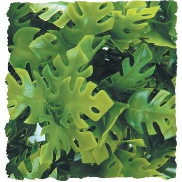 Zoo Med Amazonian Phyllo