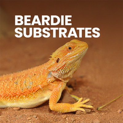 Natural Bearded Dragon substrate in a Bearded Dragon Cage, perfect for burrowing and promoting health.