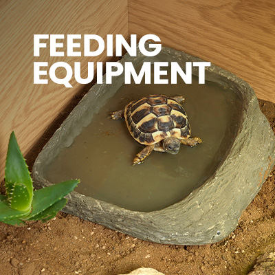 A pet tortoise sits in a tortoise water dish in the corner of a tortoise table. Shop these tortoise accessories and more at Swell UK.