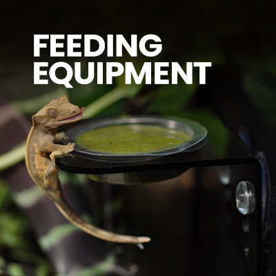 Feeding equipment for crested gecko, gargoyle gecko, mourning gecko and more pet gecko, feeding dishes for gecko food