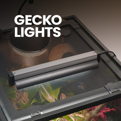 Gecko lights for crested gecko setup and gecko vivarium for gecko pet - suitable for crested gecko, leopard gecko and more